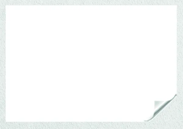Statik Kağıt KPSS SET